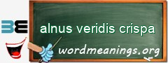 WordMeaning blackboard for alnus veridis crispa